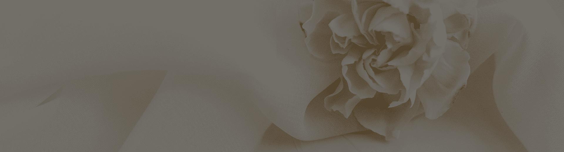 background-image
