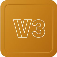 V3